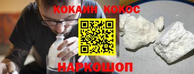 крисы Моздок