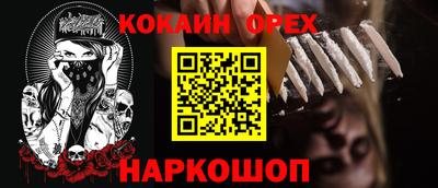 крисы Моздок