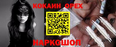 крисы Моздок
