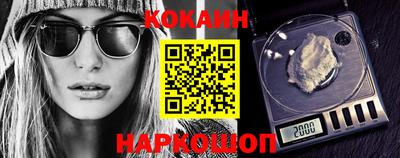 крисы Моздок