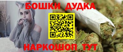 крисы Моздок