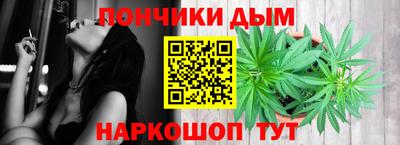 крисы Моздок