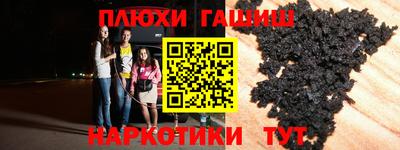 крисы Моздок