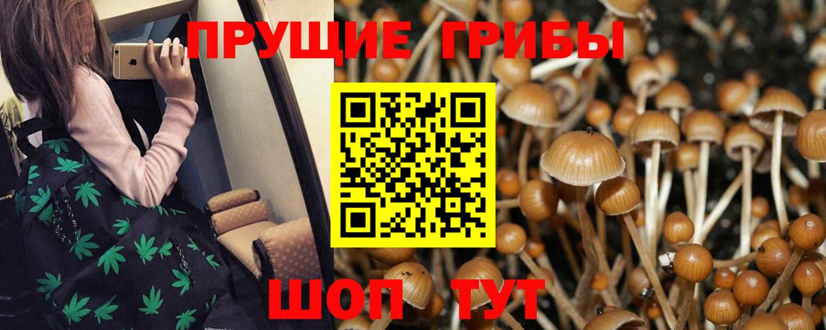 Галлюциногенные грибы прущие грибы Ялта