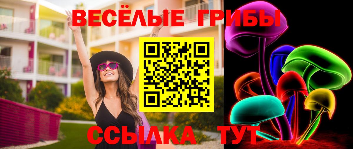 Галлюциногенные грибы Psilocybine cubensis  Псилоцибиновые грибы ЛСД  Ялта  Вход с VPN 